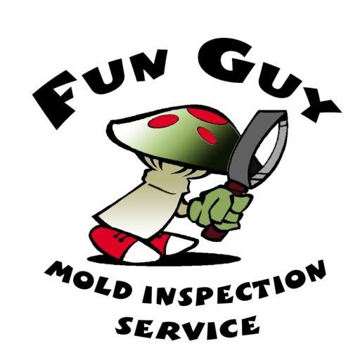 Fun Guy Inspection & Consulting – Photo 9